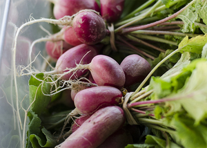 Brainfeeders, a registered student organization at Syracuse University, brought Common Threads Farm's products to the campus community. 